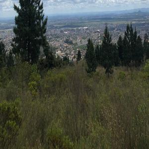 香蕉网美女少妇
