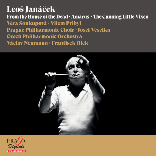 香蕉网美女少妇
